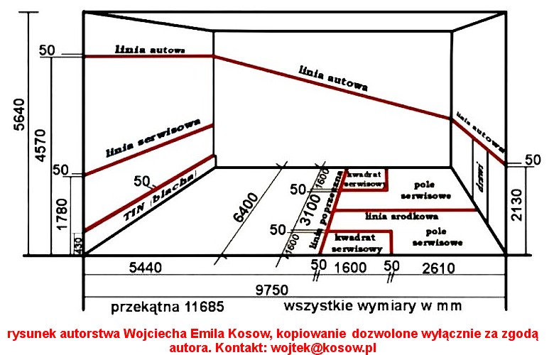 squash wymiary kortu